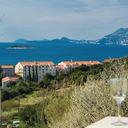 Nice Apartment In Cavtat With Wifi Экстерьер фото