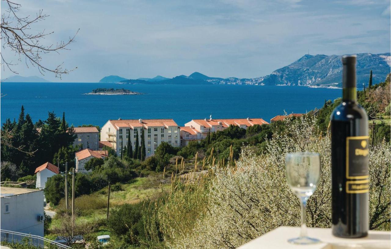Nice Apartment In Cavtat With Wifi Экстерьер фото